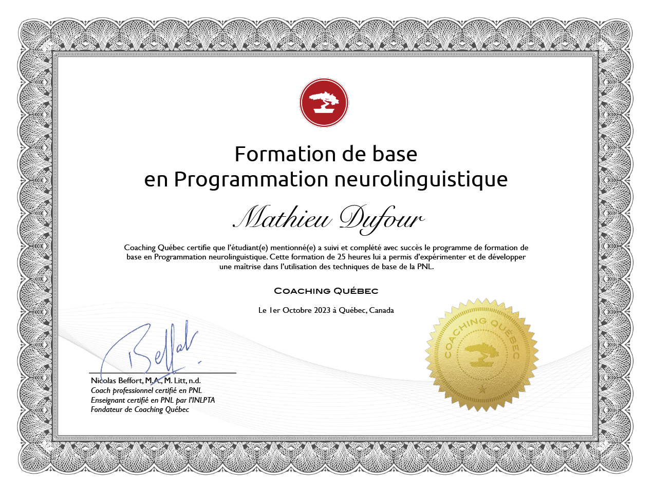 Base PNL Mathieu Dufour