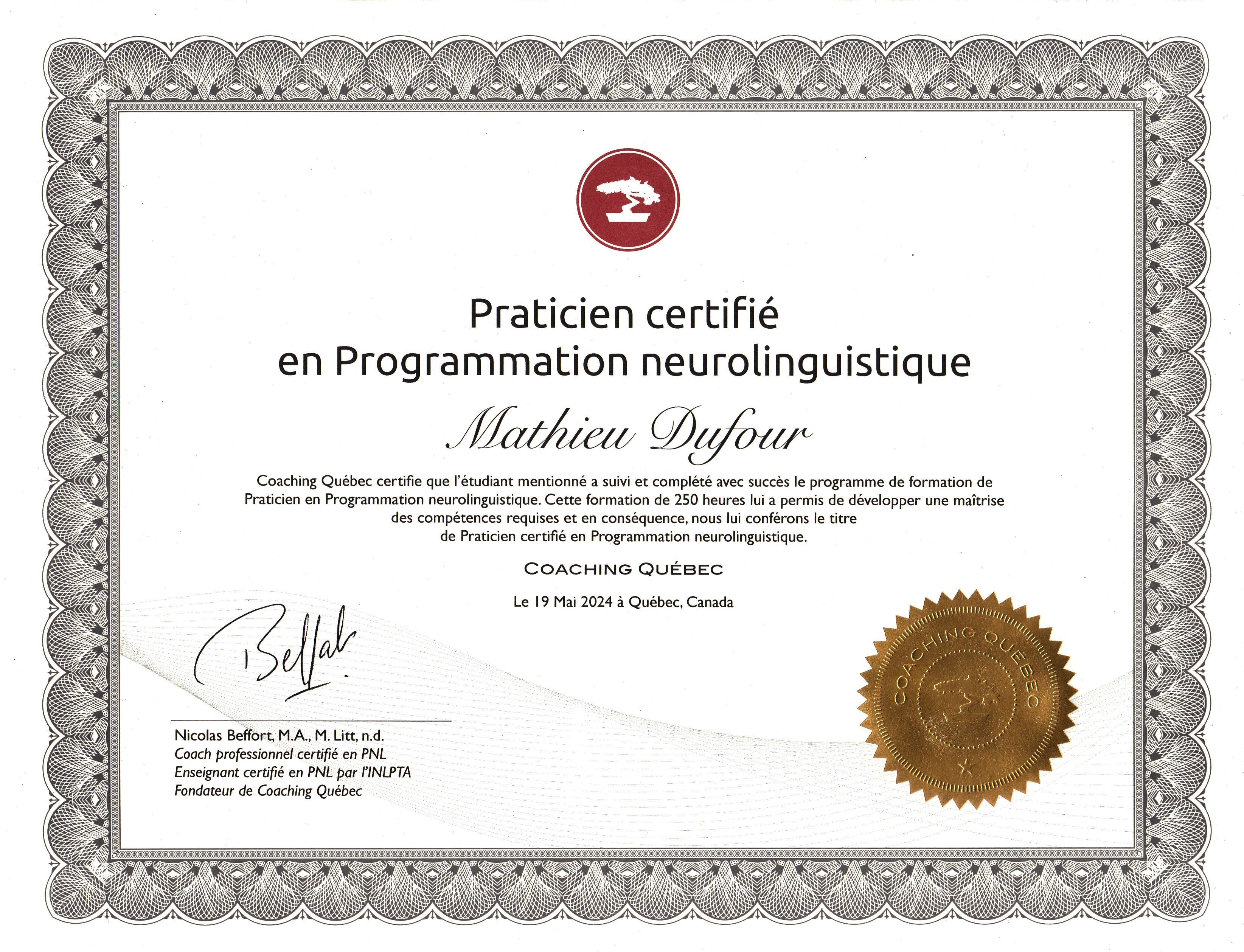 Praticien PNL Mathieu Dufour